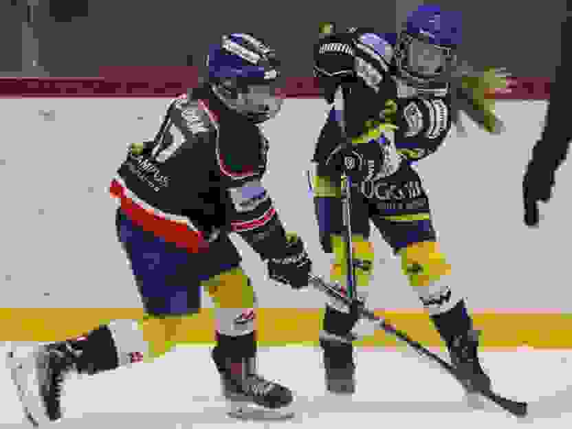 bild_eishockey_damen_w2025.jpeg